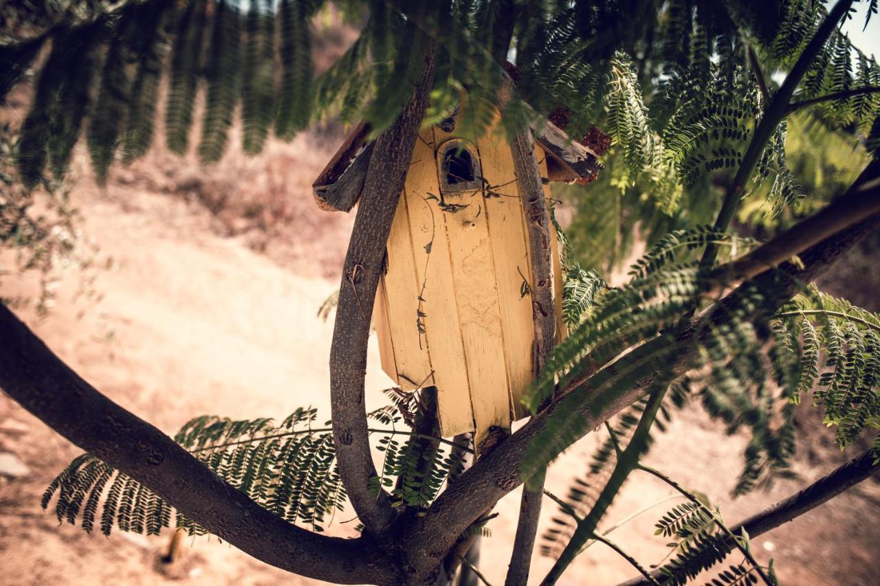 Posada San Antonio Valle de Guadalupe Εξωτερικό φωτογραφία