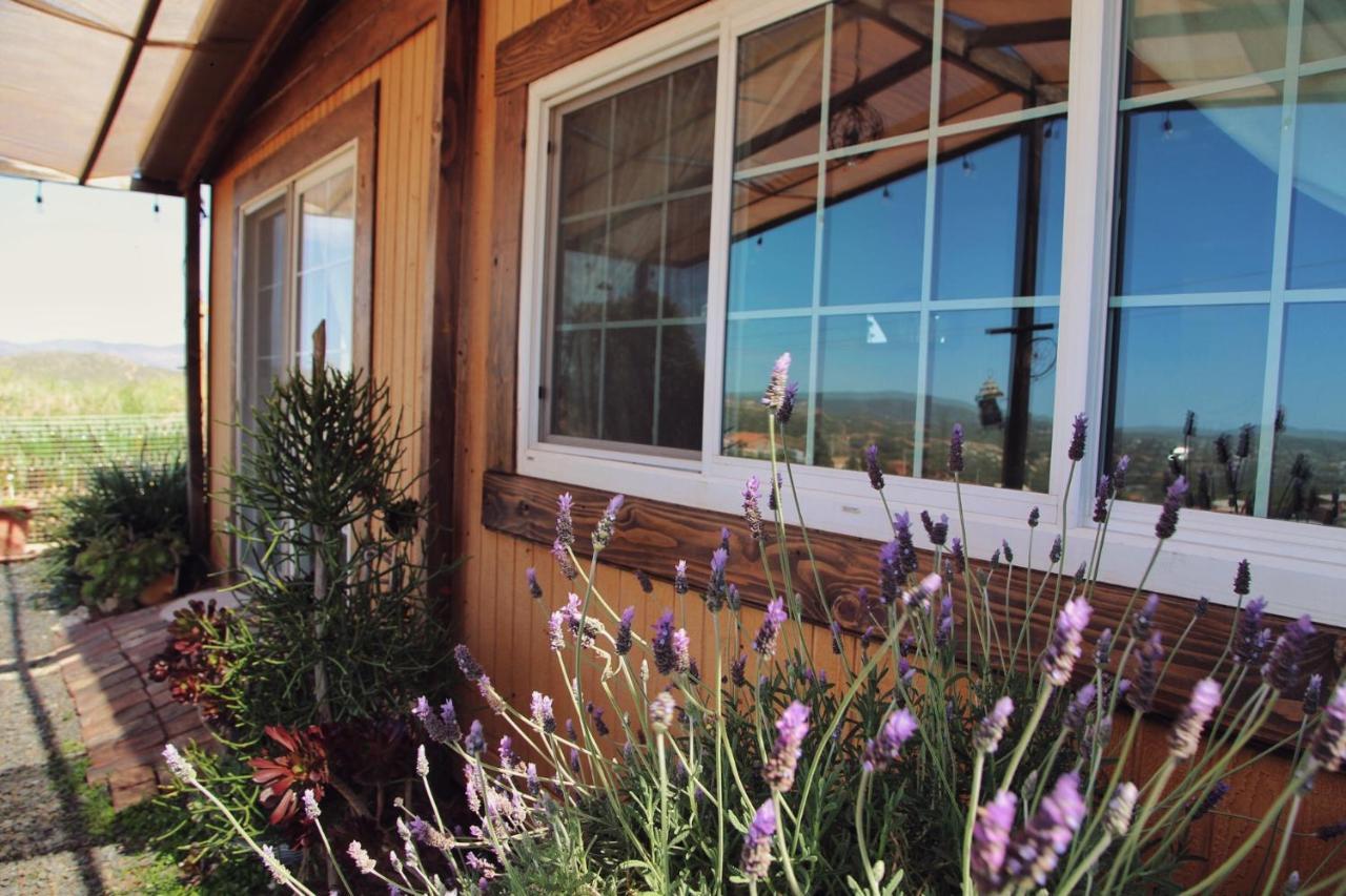 Posada San Antonio Valle de Guadalupe Εξωτερικό φωτογραφία