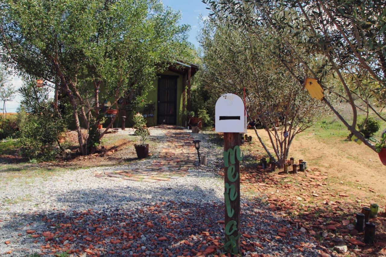 Posada San Antonio Valle de Guadalupe Εξωτερικό φωτογραφία