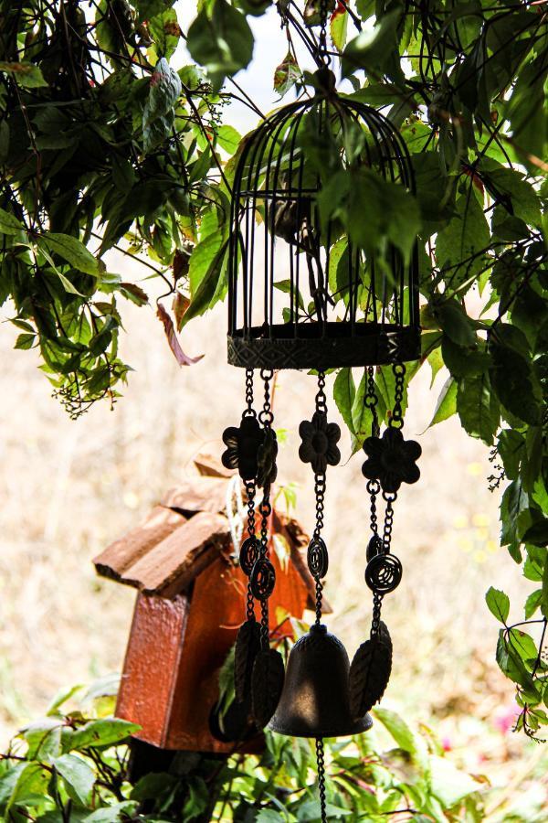 Posada San Antonio Valle de Guadalupe Εξωτερικό φωτογραφία